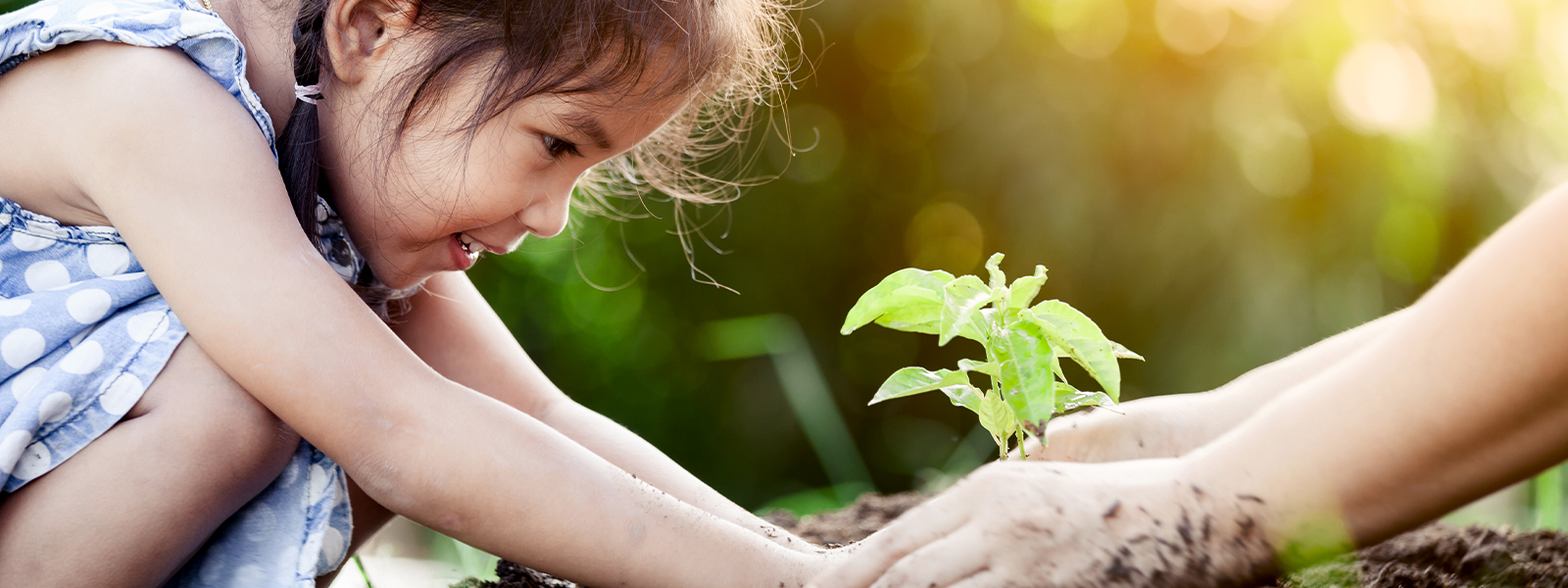 ABELE Depotverwaltung GmbH - Stiftung